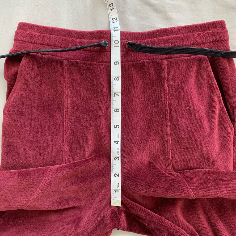 Year of Ours Revolve Velour Jogger in Burgundy - Picture 6 of 7